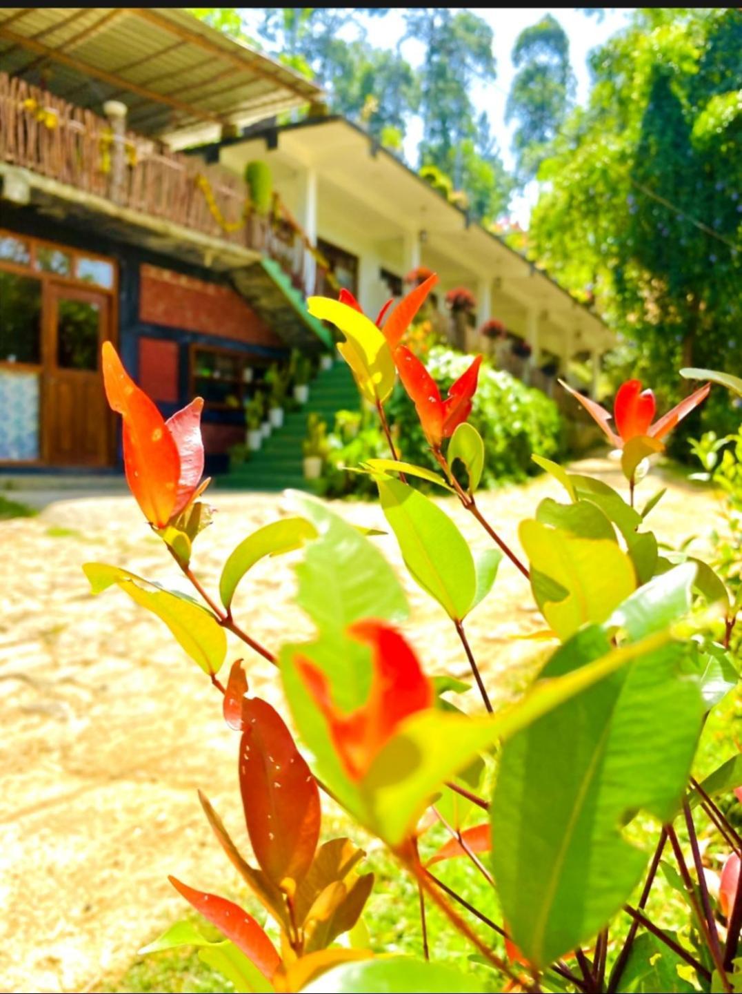 Hotel Blissful Haven Ella Esterno foto