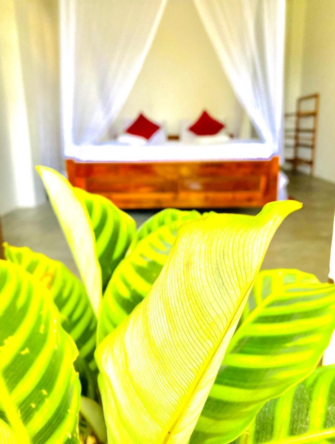 Hotel Blissful Haven Ella Esterno foto